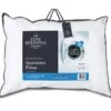 The Fine Bedding Company Spundown Firm Support Pillow -Household Items Shop 1192 22105