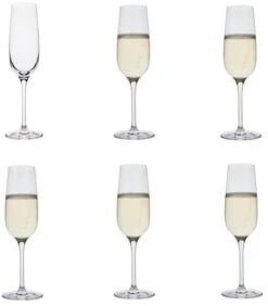 Dartington Champagne Flute Set Of 6