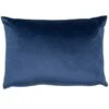 Malini Luxe Velvet Navy Cushion 30cm X 45cm -Household Items Shop 33319 16634