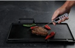 Taylor Pro LED Display Thermometer -Household Items Shop 35942 14686