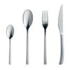 Denby Spice 16 Piece Cutlery Set -Household Items Shop 50597 32247